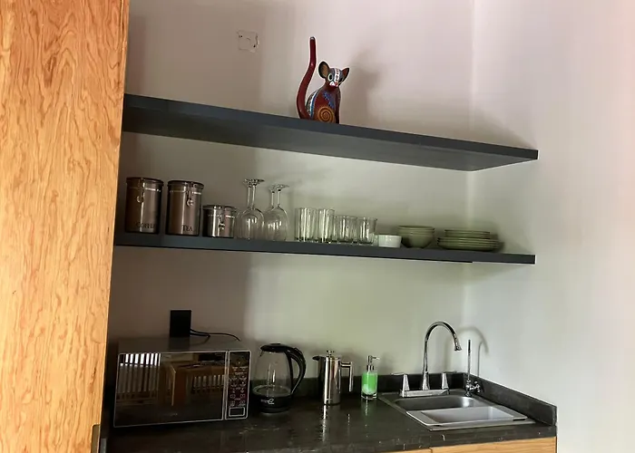 Apartamento Coyoacan Historico, Museo Frida.