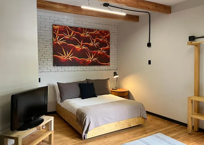 Coyoacan Historico, Museo Frida. Apartamento *